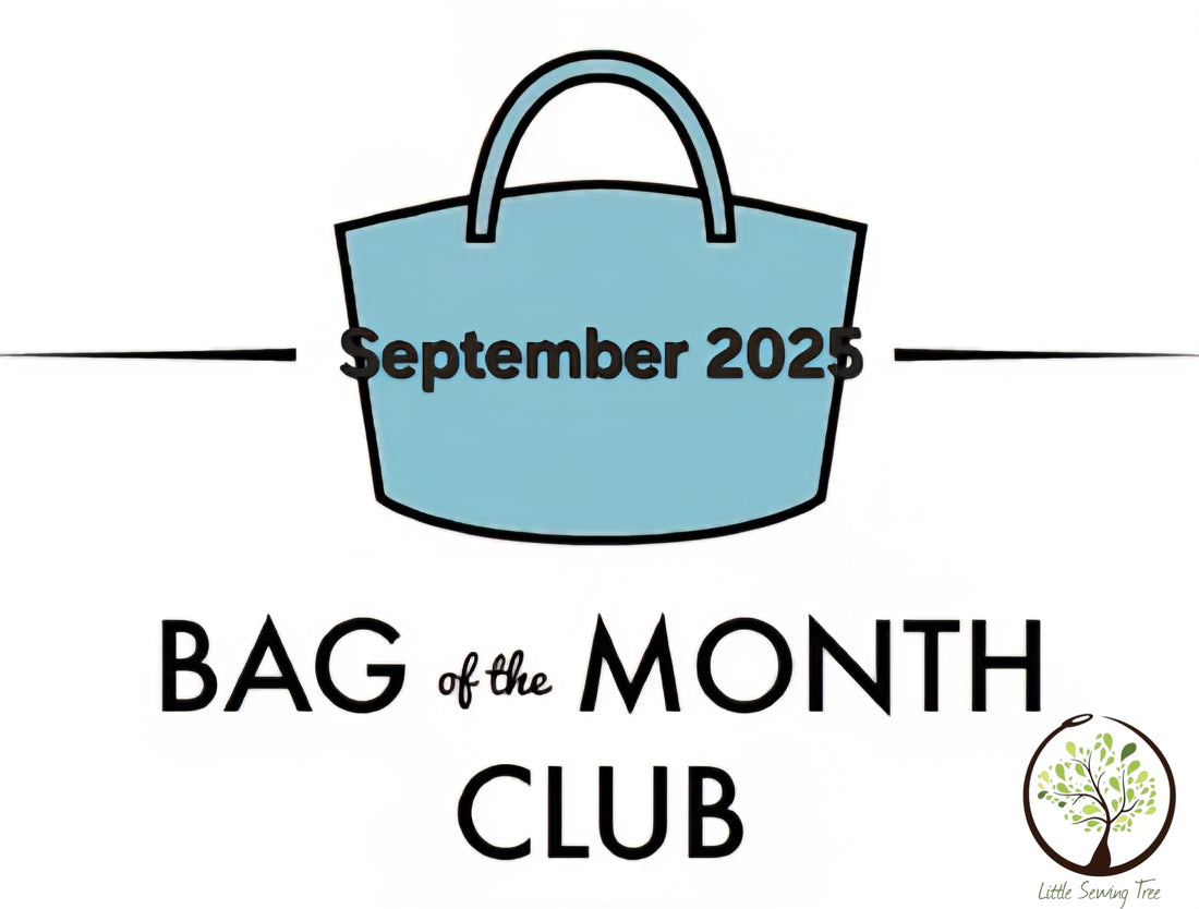 Bag of the Month Club Hardware Kit - September 2025